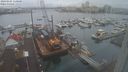./images/victoria/wharf/20240105/wharf20240105_110501.jpg