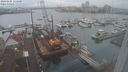./images/victoria/wharf/20240105/wharf20240105_111000.jpg