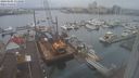 ./images/victoria/wharf/20240105/wharf20240105_111500.jpg