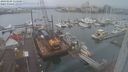 ./images/victoria/wharf/20240105/wharf20240105_114500.jpg