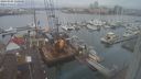 ./images/victoria/wharf/20240105/wharf20240105_120000.jpg