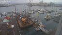 ./images/victoria/wharf/20240105/wharf20240105_121500.jpg