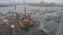 ./images/victoria/wharf/20240105/wharf20240105_122500.jpg