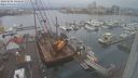 ./images/victoria/wharf/20240105/wharf20240105_144500.jpg
