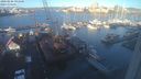 ./images/victoria/wharf/20240106/wharf20240106_091500.jpg