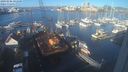 ./images/victoria/wharf/20240106/wharf20240106_101000.jpg