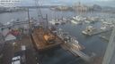 ./images/victoria/wharf/20240107/wharf20240107_115501.jpg