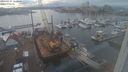 ./images/victoria/wharf/20240107/wharf20240107_152500.jpg