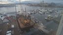 ./images/victoria/wharf/20240107/wharf20240107_153500.jpg