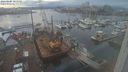 ./images/victoria/wharf/20240107/wharf20240107_154000.jpg