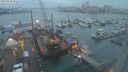 ./images/victoria/wharf/20240108/wharf20240108_082500.jpg