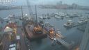 ./images/victoria/wharf/20240108/wharf20240108_083000.jpg