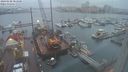 ./images/victoria/wharf/20240108/wharf20240108_083501.jpg