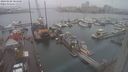 ./images/victoria/wharf/20240108/wharf20240108_084501.jpg