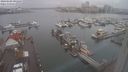./images/victoria/wharf/20240108/wharf20240108_091500.jpg