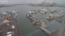 ./images/victoria/wharf/20240108/wharf20240108_093000.jpg