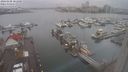 ./images/victoria/wharf/20240108/wharf20240108_101000.jpg