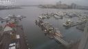 ./images/victoria/wharf/20240108/wharf20240108_102500.jpg