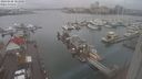 ./images/victoria/wharf/20240108/wharf20240108_103001.jpg