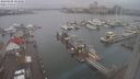./images/victoria/wharf/20240108/wharf20240108_103500.jpg