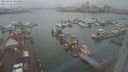./images/victoria/wharf/20240108/wharf20240108_105500.jpg