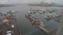 ./images/victoria/wharf/20240108/wharf20240108_110501.jpg