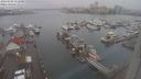 ./images/victoria/wharf/20240108/wharf20240108_111500.jpg