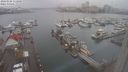 ./images/victoria/wharf/20240108/wharf20240108_112500.jpg