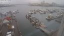 ./images/victoria/wharf/20240108/wharf20240108_113000.jpg