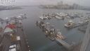 ./images/victoria/wharf/20240108/wharf20240108_113500.jpg