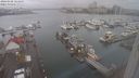 ./images/victoria/wharf/20240108/wharf20240108_121500.jpg
