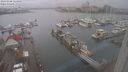 ./images/victoria/wharf/20240108/wharf20240108_122500.jpg