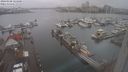 ./images/victoria/wharf/20240108/wharf20240108_124000.jpg