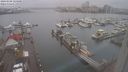 ./images/victoria/wharf/20240108/wharf20240108_125500.jpg