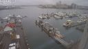./images/victoria/wharf/20240108/wharf20240108_130500.jpg