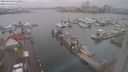 ./images/victoria/wharf/20240108/wharf20240108_131500.jpg