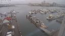 ./images/victoria/wharf/20240108/wharf20240108_132501.jpg