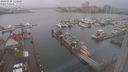 ./images/victoria/wharf/20240108/wharf20240108_133000.jpg