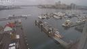 ./images/victoria/wharf/20240108/wharf20240108_134500.jpg