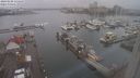 ./images/victoria/wharf/20240108/wharf20240108_135500.jpg