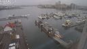./images/victoria/wharf/20240108/wharf20240108_140000.jpg
