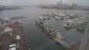 ./images/victoria/wharf/20240108/wharf20240108_144001.jpg