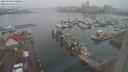 ./images/victoria/wharf/20240108/wharf20240108_150000.jpg