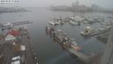 ./images/victoria/wharf/20240108/wharf20240108_150500.jpg
