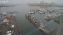 ./images/victoria/wharf/20240108/wharf20240108_151001.jpg