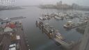 ./images/victoria/wharf/20240108/wharf20240108_152000.jpg