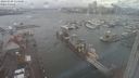 ./images/victoria/wharf/20240109/wharf20240109_114500.jpg
