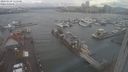 ./images/victoria/wharf/20240109/wharf20240109_122500.jpg