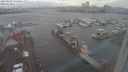 ./images/victoria/wharf/20240109/wharf20240109_124000.jpg