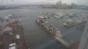 ./images/victoria/wharf/20240109/wharf20240109_131000.jpg